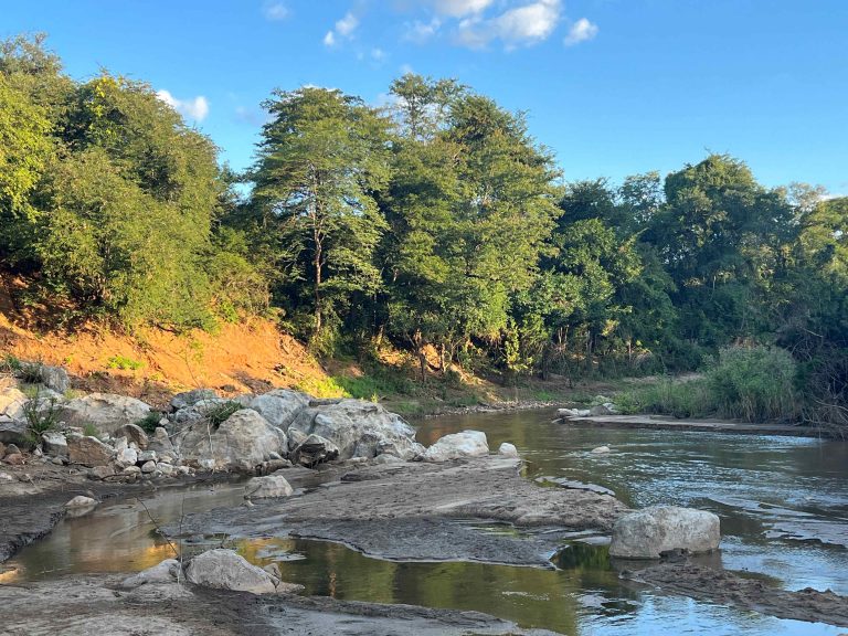 Low res IMG 7472 768x576