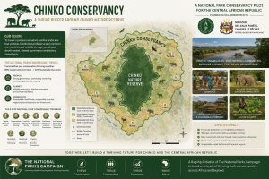 Chinko Conservancy AI Illustration compressed 300x200