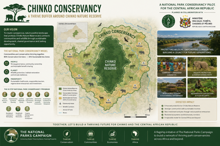 Chinko Conservancy AI Illustration compressed 768x512