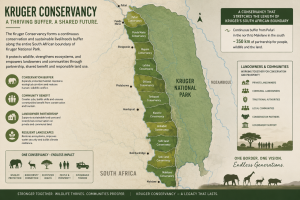 Kruger Conservancy compressed 300x200
