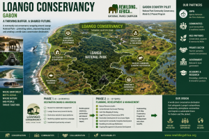 Loango Conservancy illustration compressed 300x200