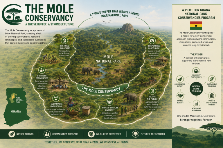 Mole Conservancy illustration 768x512