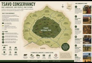 Tsavo Conservancy illustration 300x207