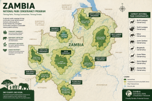 Zambia Conservancy illustration 300x200